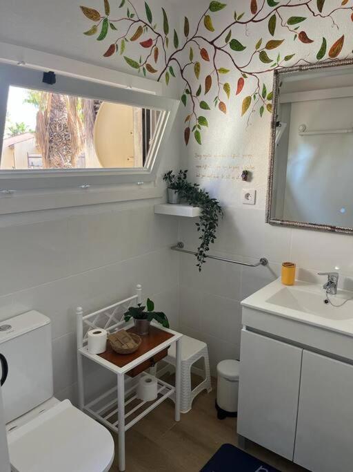 Casa Cactus Paraiso Parque Holandes Екстериор снимка
