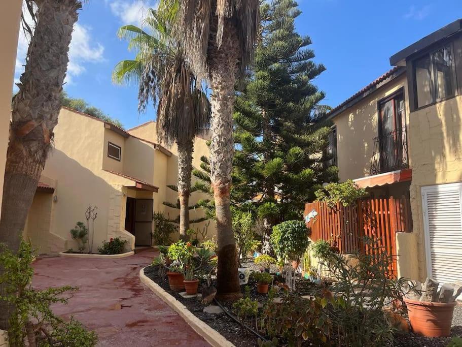 Casa Cactus Paraiso Parque Holandes Екстериор снимка