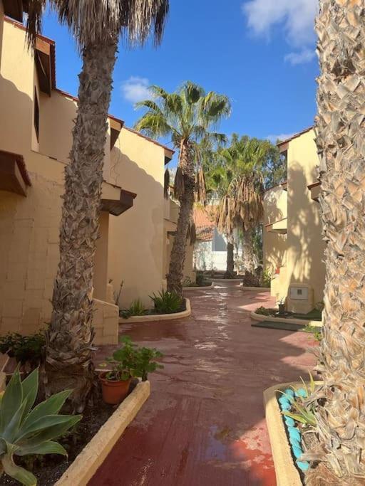 Casa Cactus Paraiso Parque Holandes Екстериор снимка