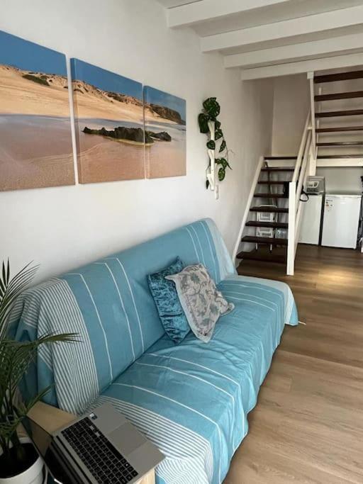 Casa Cactus Paraiso Parque Holandes Екстериор снимка