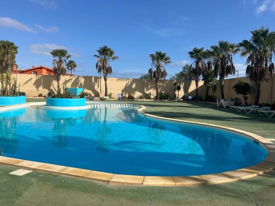 Casa Cactus Paraiso Parque Holandes Екстериор снимка