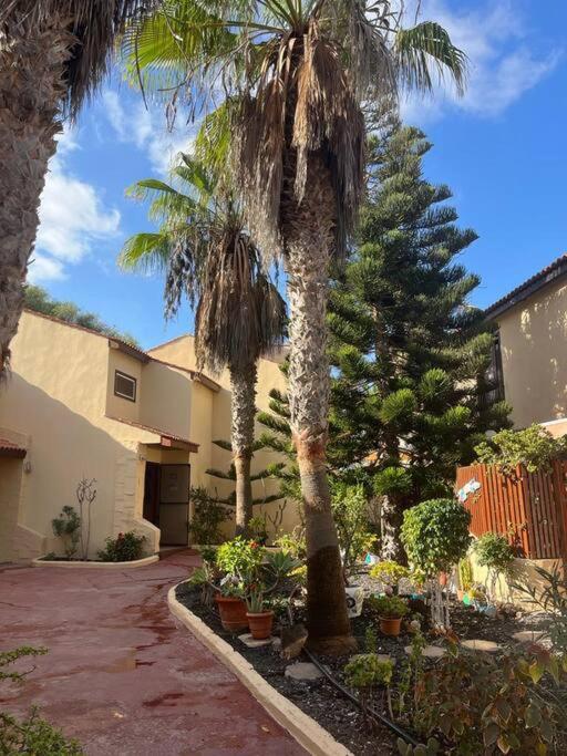 Casa Cactus Paraiso Parque Holandes Екстериор снимка