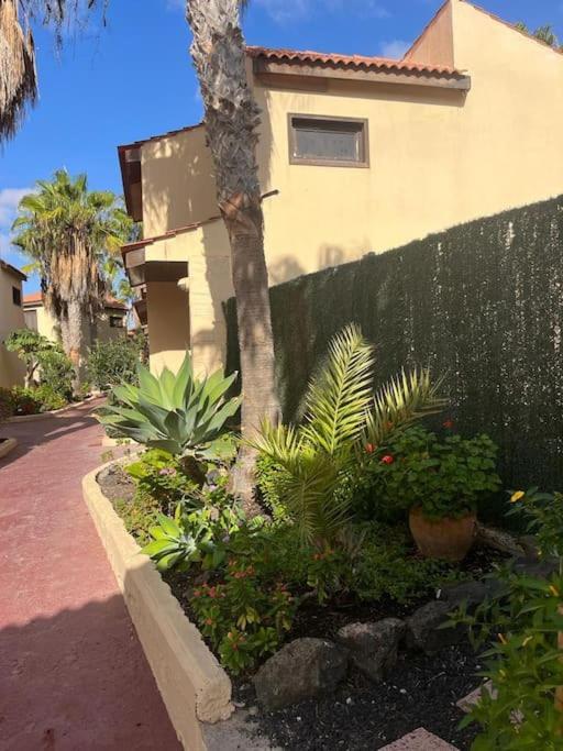 Casa Cactus Paraiso Parque Holandes Екстериор снимка