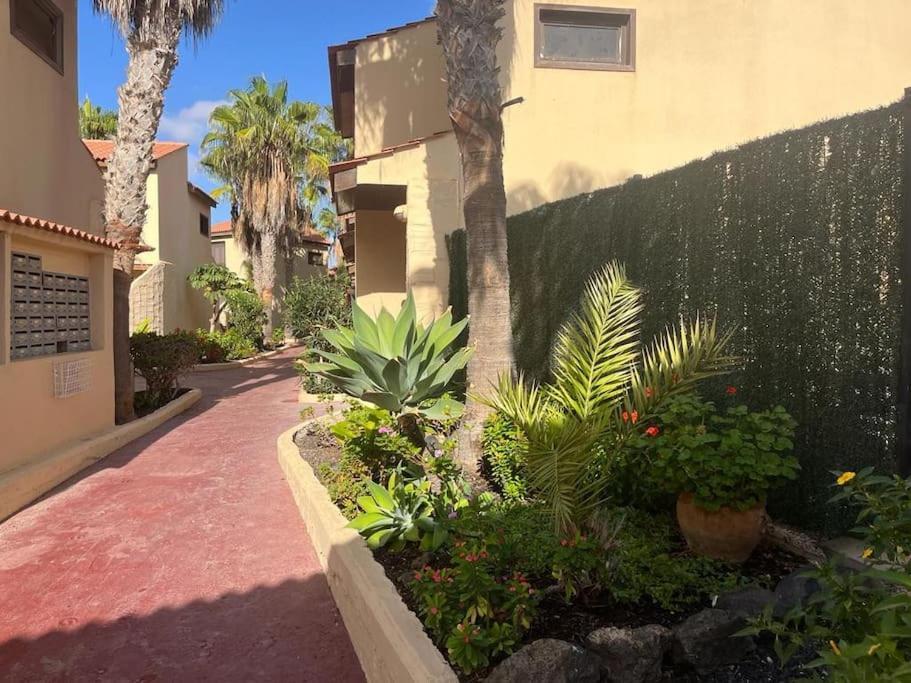 Casa Cactus Paraiso Parque Holandes Екстериор снимка